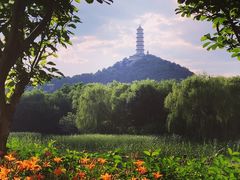 -北坞公园