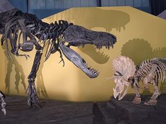 -湖南省地质博物馆