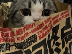 -肯德基(天津奥城店)