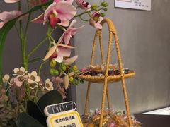 -施奈儿.洗头頭療.按摩SPA.采耳(上梅林店)