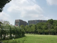 -紫荆广场·花漫里