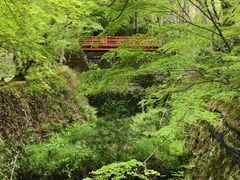 -三千院