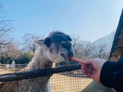 -西安秦岭野生动物园