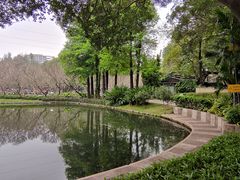 -晓港公园