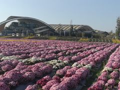 -中国天府农业博览园