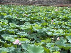 -东坡赤壁风景名胜区