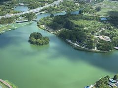 -嘉定凯悦·咖啡厅