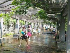 -花溪风景区
