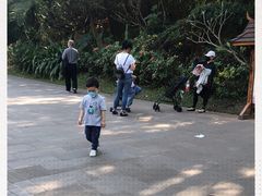 -西双版纳总佛寺