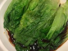 罗马生菜-九十九顶毡房(阜石路店)