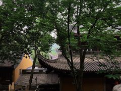 -灵隐飞来峰景区