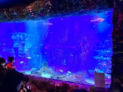 -沈阳海洋探索中心