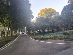 -河南省黄河迎宾馆