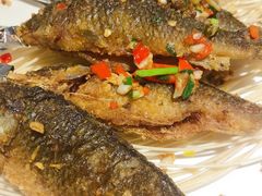 -佬麻雀·新湘菜(珠海金发购物中心店)