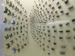 -北京科学中心儿童乐园