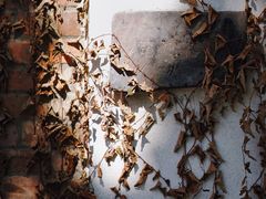 -梵几(东信·和创园店)