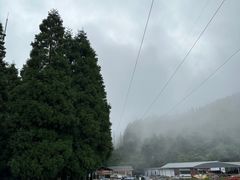 -武陵山森林公园