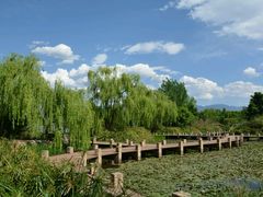 android_upload_pic-西昌邛海湿地