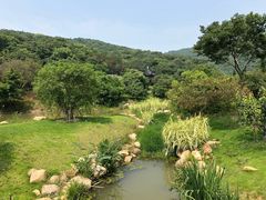 -龙寺生态园