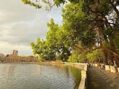 -翠湖公园
