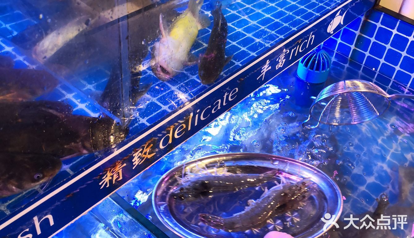 想要牛肉，海鲜自由就来川悦味来