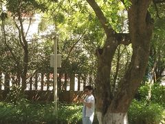 -厦门大学(思明校区)