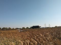 -长春北湖公园