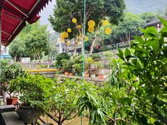 -香芙茗茶楼(梅家坞总店)