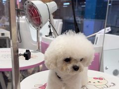 -FAELING PETS美天灵宠物(富力广场店)