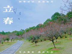 -广东花都湖国家湿地公园