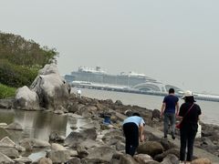 -吴淞炮台湾湿地森林公园烧烤区