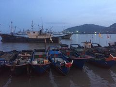 -沈家门海鲜夜排档(东港店)