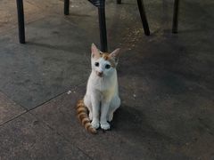 -爱啤精酿·民谣酒馆(滨江店)