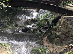 -天女山森林公园