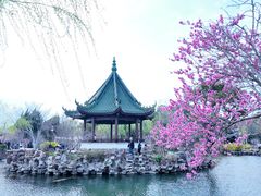 -无锡蠡湖国家湿地公园-蠡园