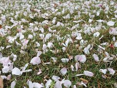 -杭州城北体育公园