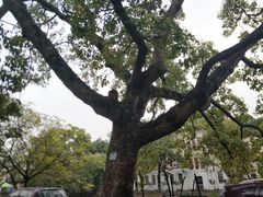 -黄埔古港