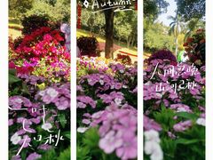 -广州市白云山风景名胜区