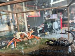 -周忆刺青原创设计定制