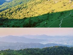 -大姆山草场