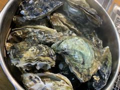 高压锅清蒸海蛎子-蚝英雄鲜蚝自助专门店(长楹天街直营店)