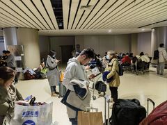 -哈尔滨太平国际机场-T2航站楼