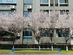 -四川大学(江安校区)