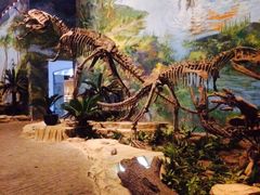 iphone_upload_pic-自贡恐龙博物馆