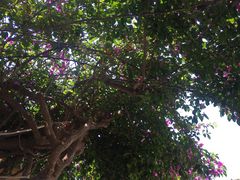 -海韵人家.海景花园经典云南菜(双廊店)