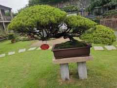 -水绘园