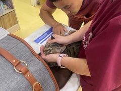 -芭比堂动物医院·犬猫全科·异宠专科(雁塔分院)