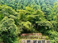 -娄山关景区