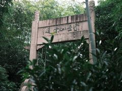 -紫金山山顶公园