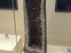 -安徽省地质博物馆